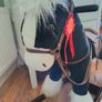 Rocking Horse Image 5