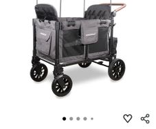 buggie