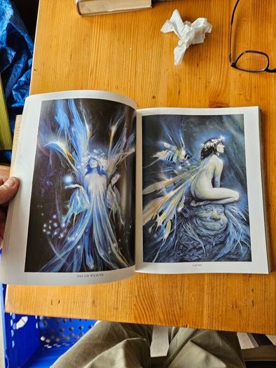 Good Faeries Bad Faeries. By Brian Fraud. First Edition Large Volume Paperback In Good Condition.  See Photos For Same.