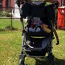 Silver cross pram & toddler Image 4