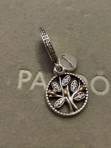 Pandora charm