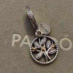 Pandora charm