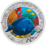 Austria 3 Euro Coin Complete Set 2022-2025 Marine Life Series. 12 Coins. (In Capsules) Image 8