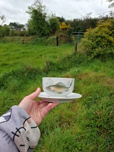 Fish china gravy bowl postage possible