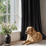 Black Velvet Curtains for Bedroom 2 Panel Set 90 Inch Drop Curtains, Soft Elegent Home Decor Velvet Curtain Living Room, Sun Blocking Room Darkening Thermal Eyelet Curtain 46x90 Inch Image 8
