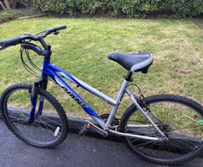 Blue Giant bike