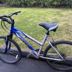 Blue Giant bike