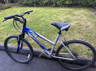 Blue Giant bike