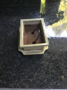 Indoor Plant Pot.