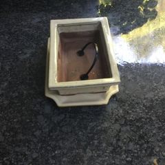 Indoor Plant Pot.