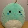 Squishmallow's Image 3