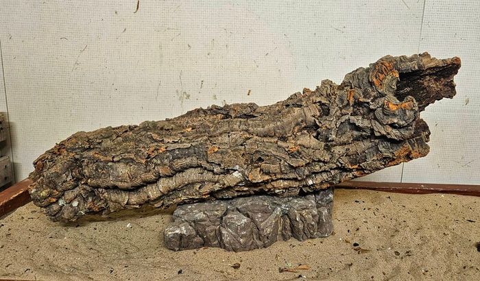 Cork Bark XXL