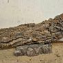 Cork Bark XXL Image 3