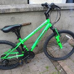 boys 24in bike