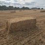 Straw Image 2