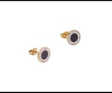 Stainless steel earrings