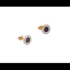 Stainless steel earrings