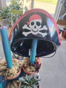 Pirates Hat