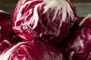 (C) Chicory Palla Rossa seeds 0.5g (442366)
