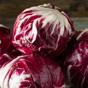 (C) Chicory Palla Rossa seeds 0.5g (442366)