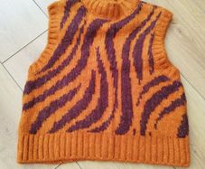 Zara vest