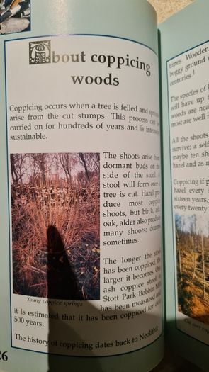 Coppice Merchant By Billy Hogarth. A Life In The Woodlands Of The Lake District. First Edition. Paperback In Good.