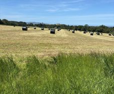 Second cut silage