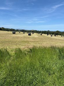 Second cut silage