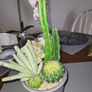 Cactus plants artificial potted Image 3