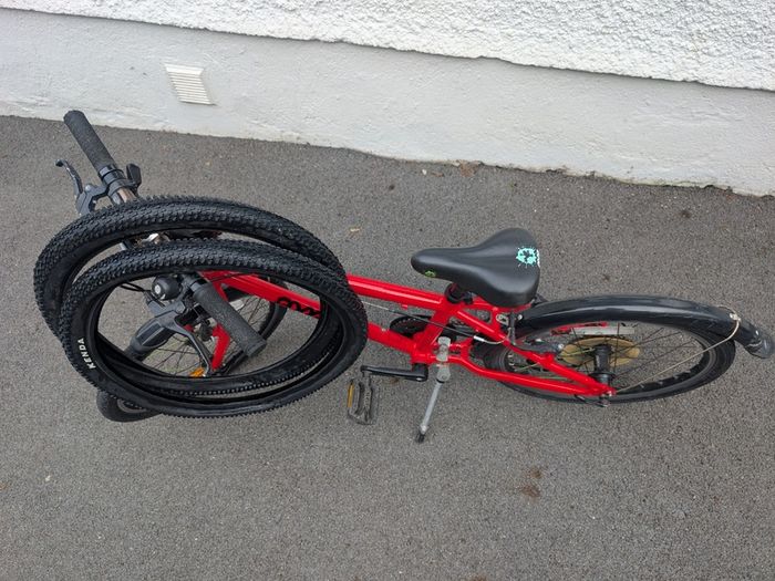 Frog Bike 55