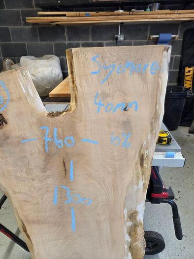 Live Edge Sycamore slab