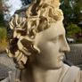 Apollo bust, v v heavy, beautiful piece. D18 Image 2