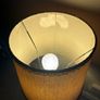 Mid-century retro vintage vine leaf table light with origal shade c1960 Image 3