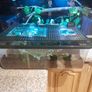 Vivarium / Corn Snake starter kits Image 6