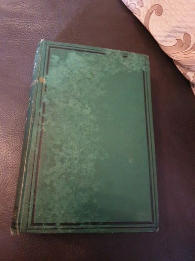 Life's Work In Ireland 1st Edition 1880
