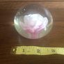 A pair of floral clear glass paperweights Image 7