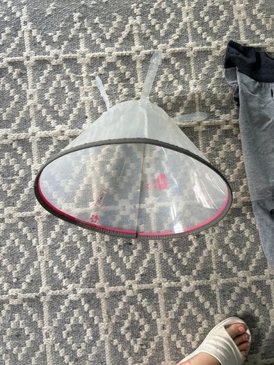 Dog recovery suit and cone Large