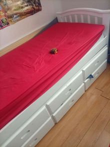 Day bed with pull out bed ,with three drawers