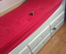 Day bed with pull out bed ,with three drawers