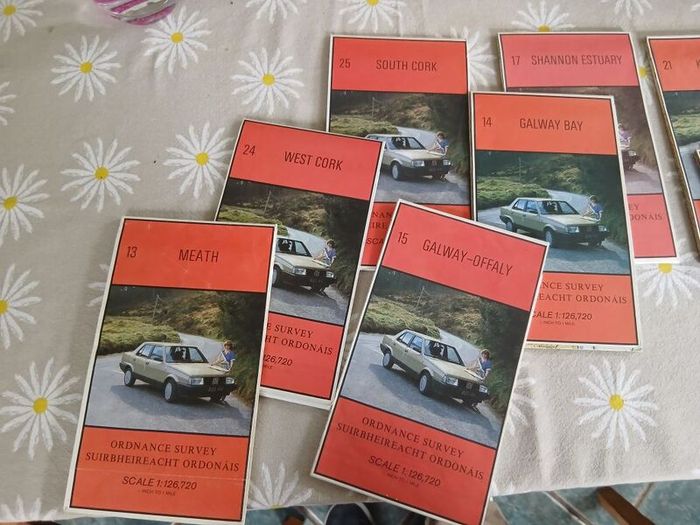 Vintage Irish Ordnance Survey Maps