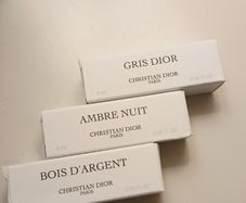DIOR samples
