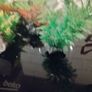 Decorations for Fish Tank Image 9