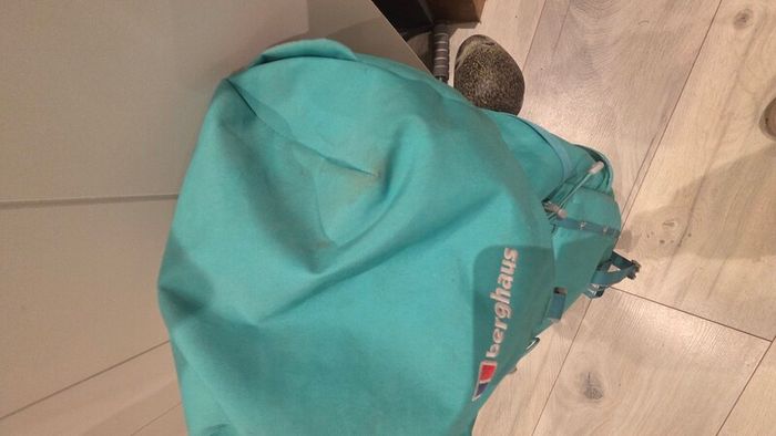 Berghaus 25L Backpack