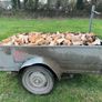 Firewood Image 5