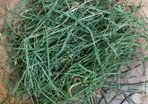 Redigrass (200g)