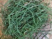Redigrass (200g)