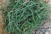 Redigrass (200g)