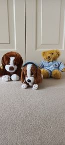 Free Soft Toys.