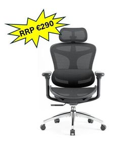 Sihoo Doro C300 Ergonomic Office Chair with Lumbar Support Like New