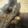 North Face Coat Image 2